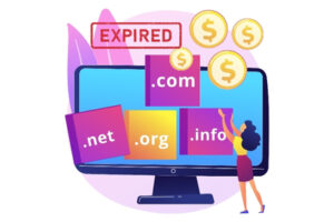 Expert expired domain research for SEO authority transfer